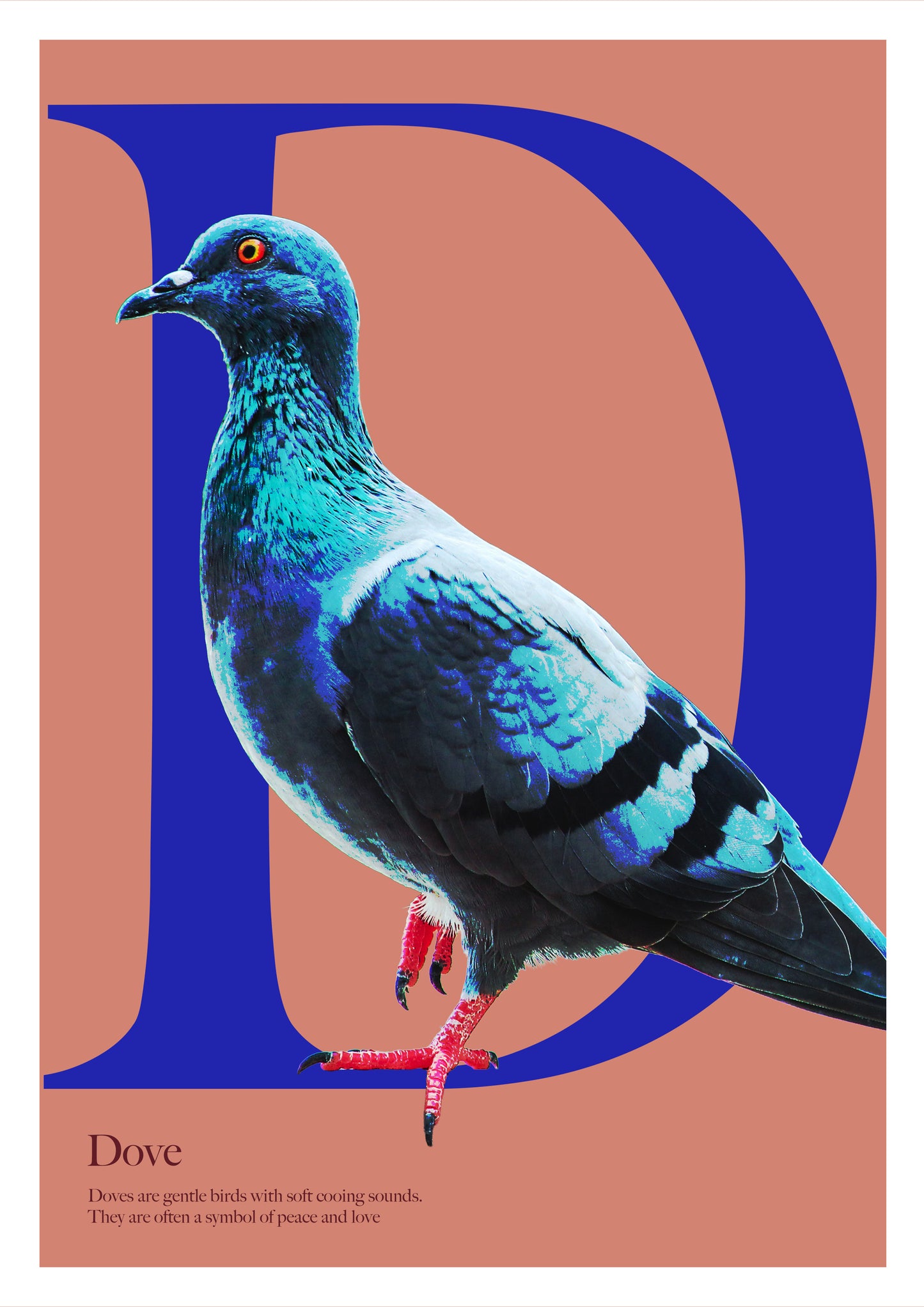 Alphabet Poster