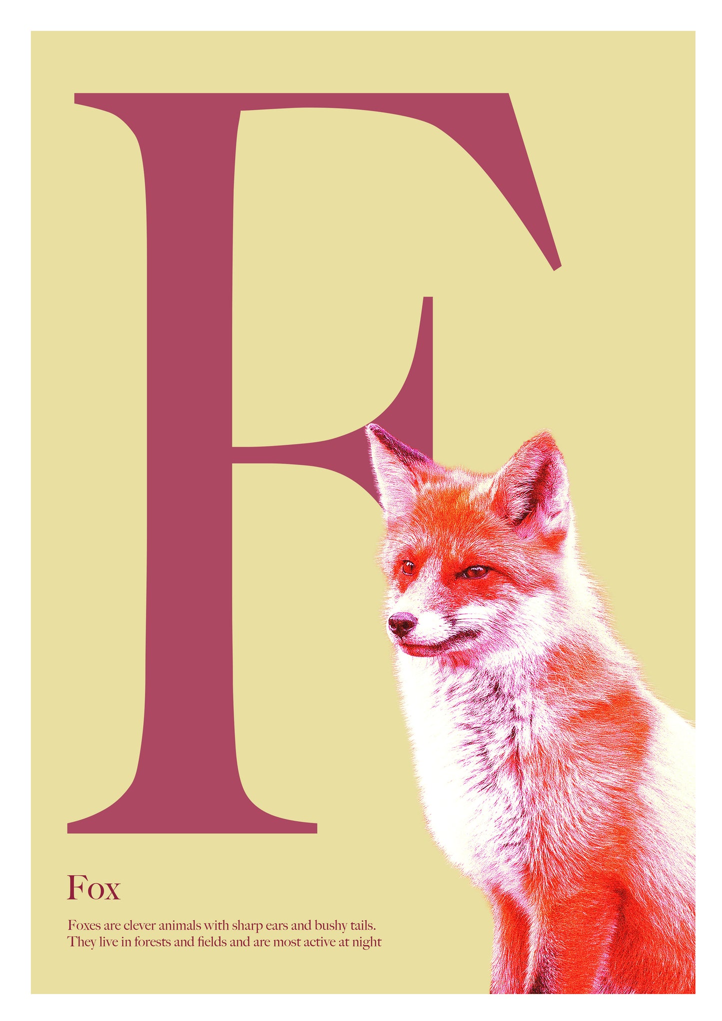 Alphabet Poster
