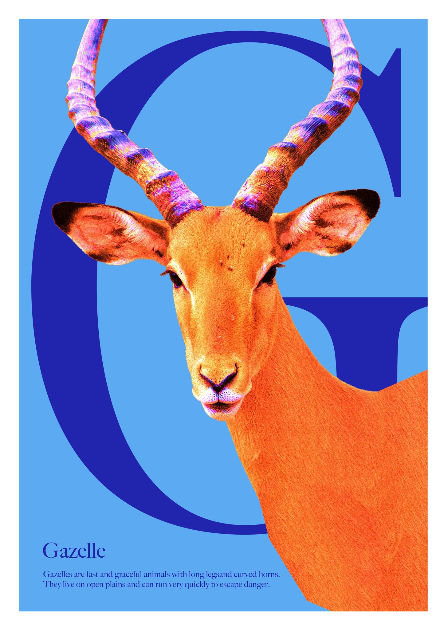 Alphabet Poster