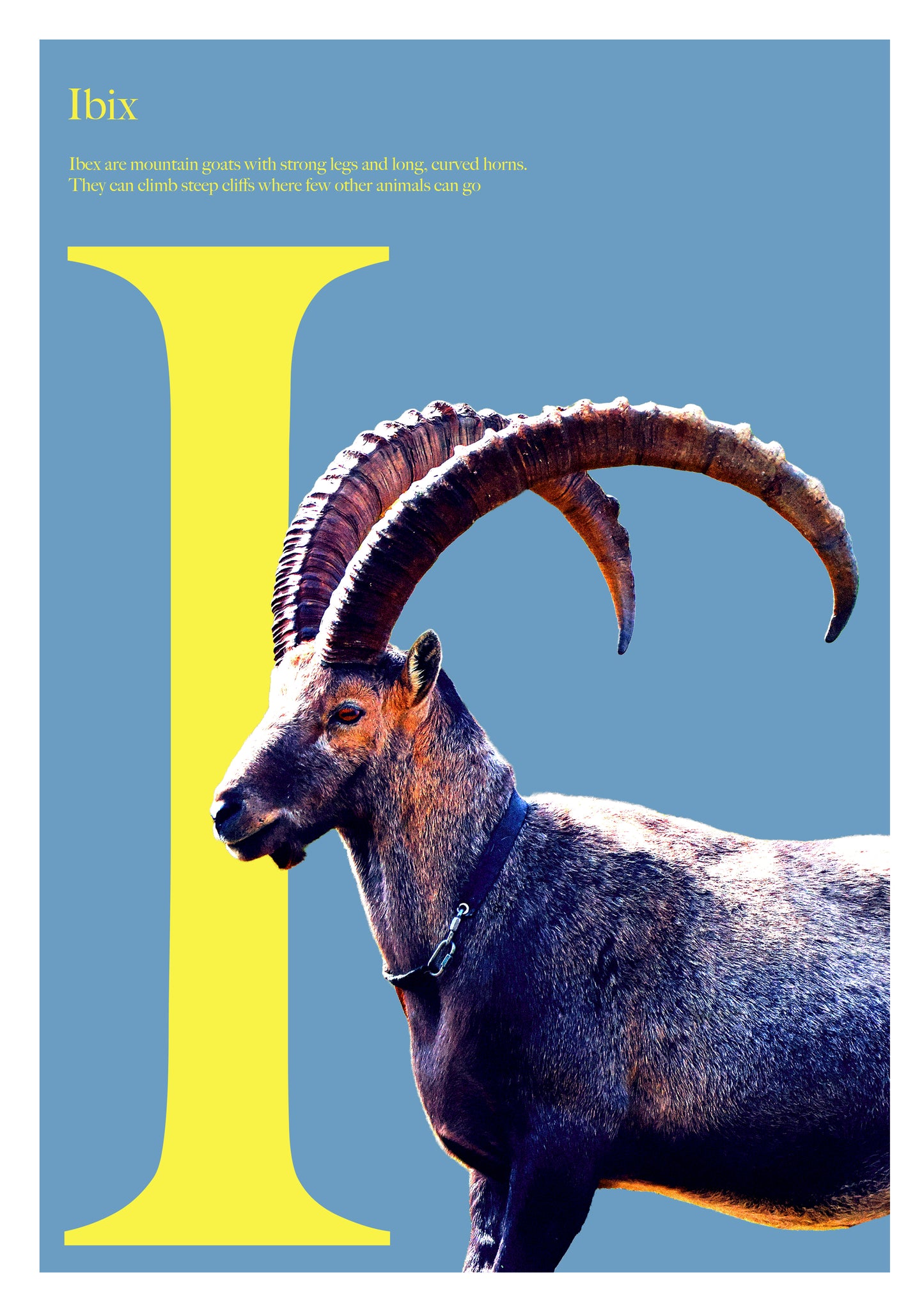 Alphabet Poster
