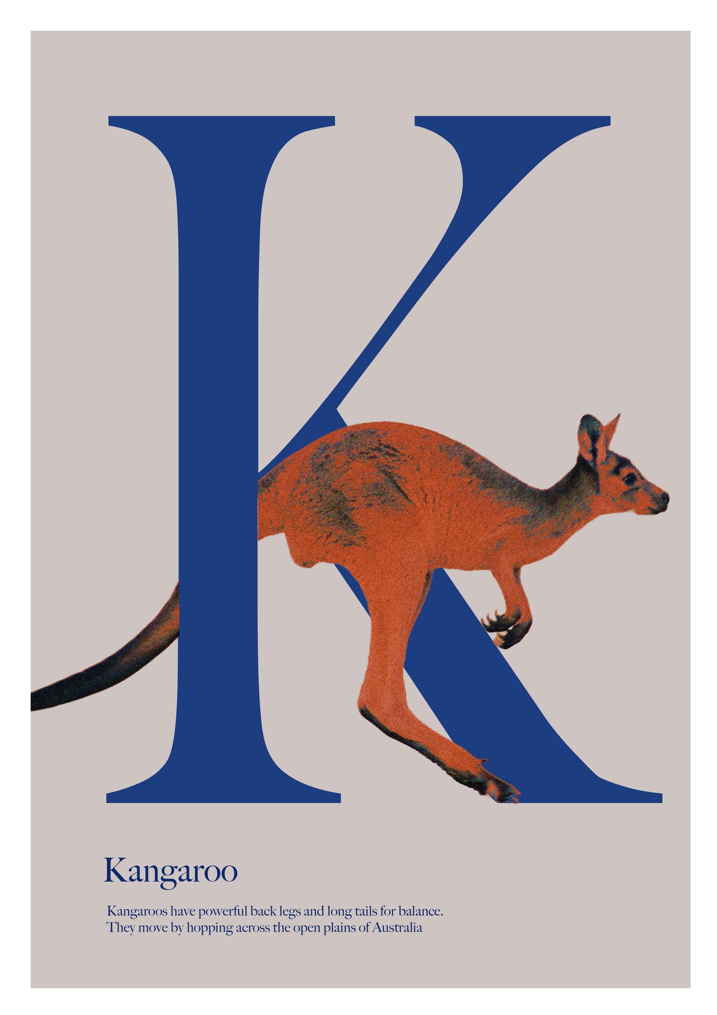 Alphabet Poster