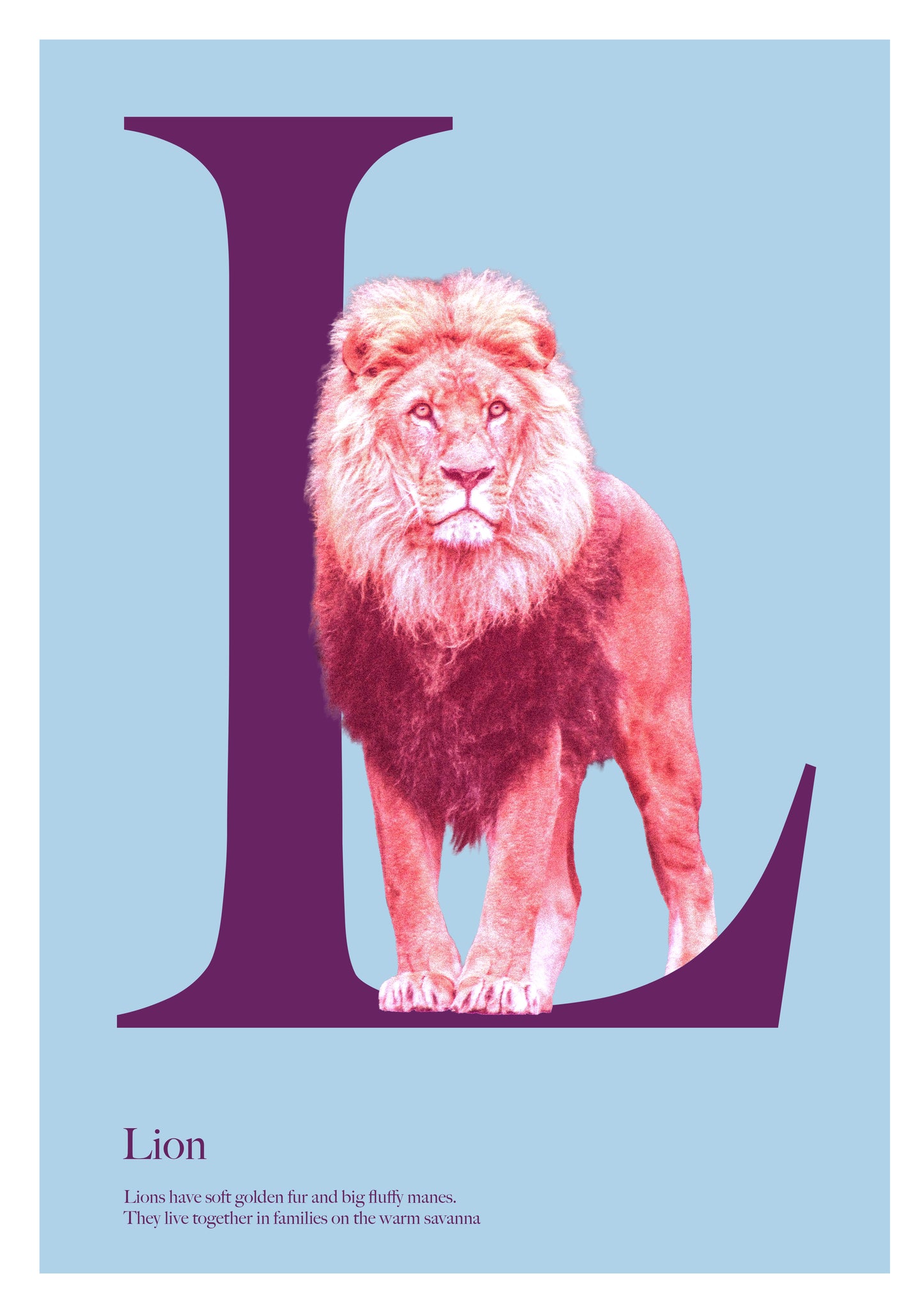 Alphabet Poster
