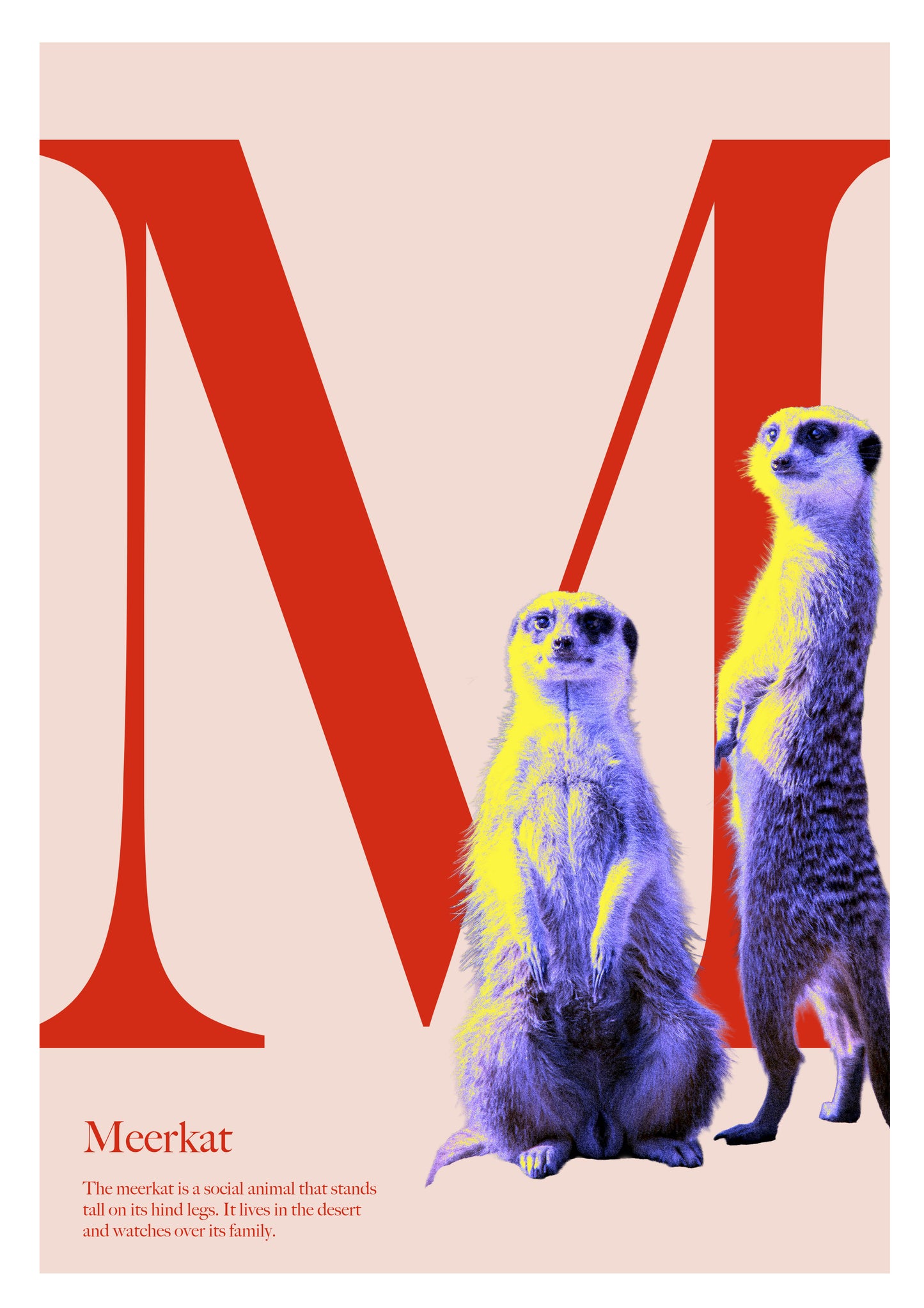 Alphabet Poster