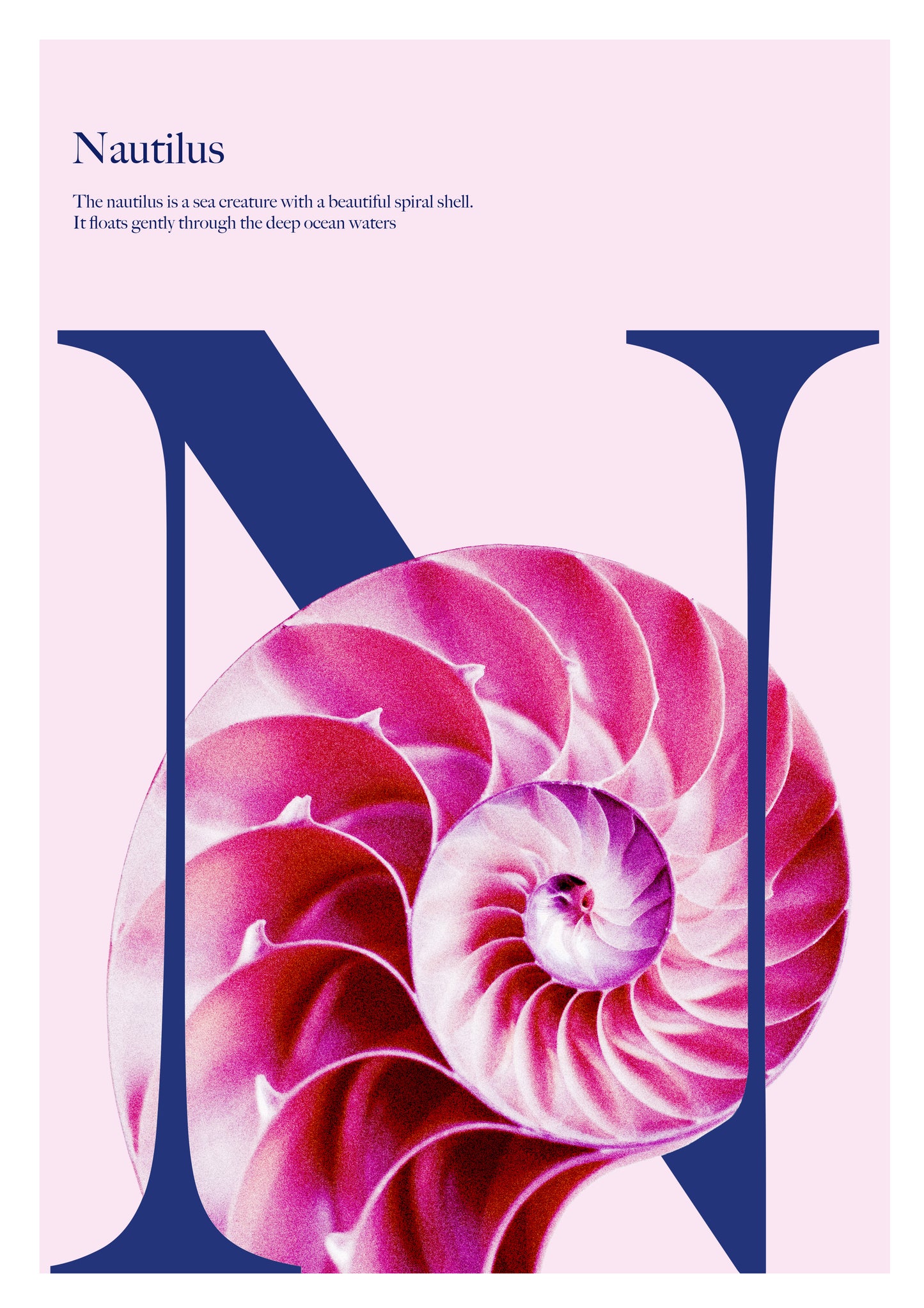 Alphabet Poster