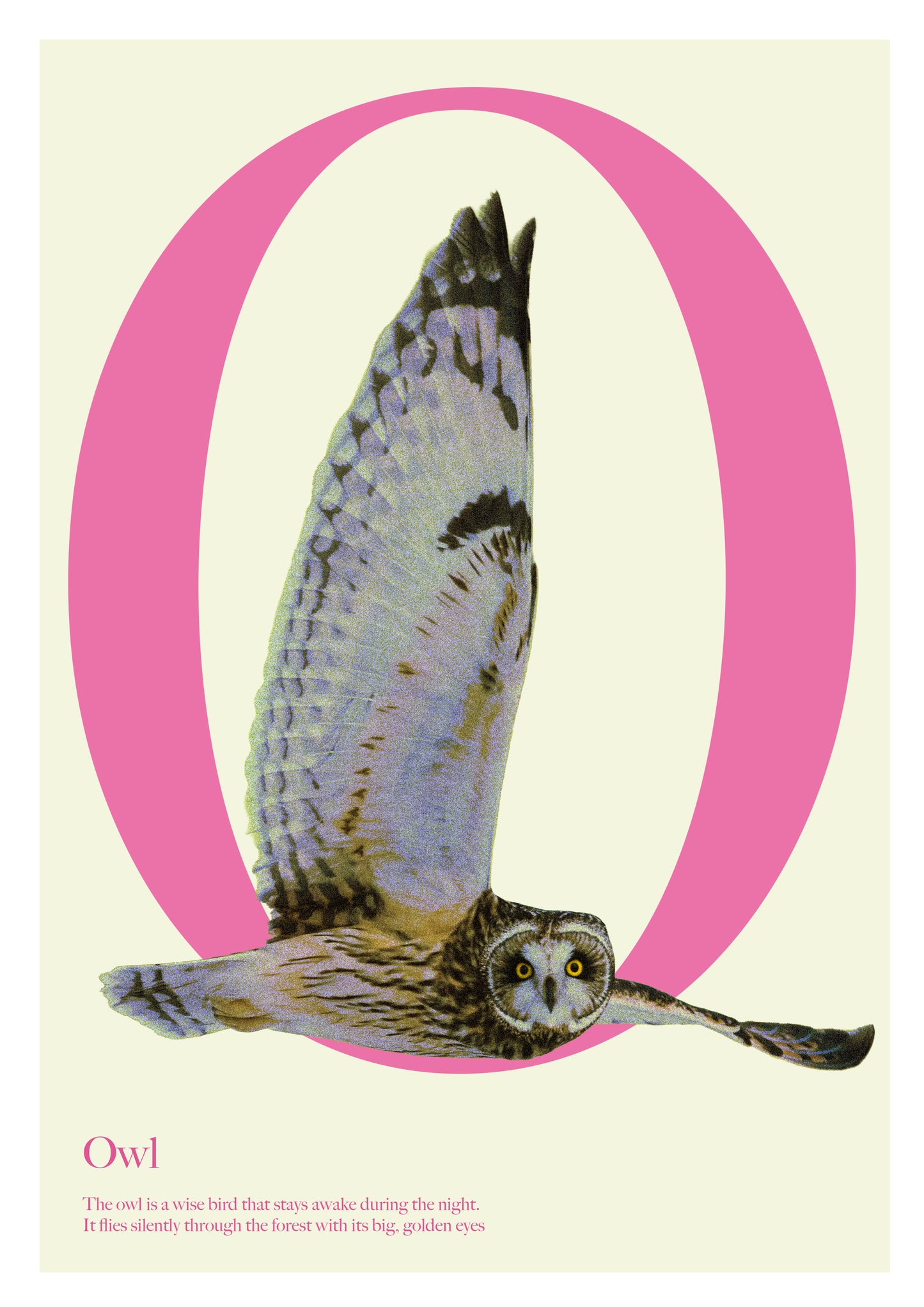 Alphabet Poster
