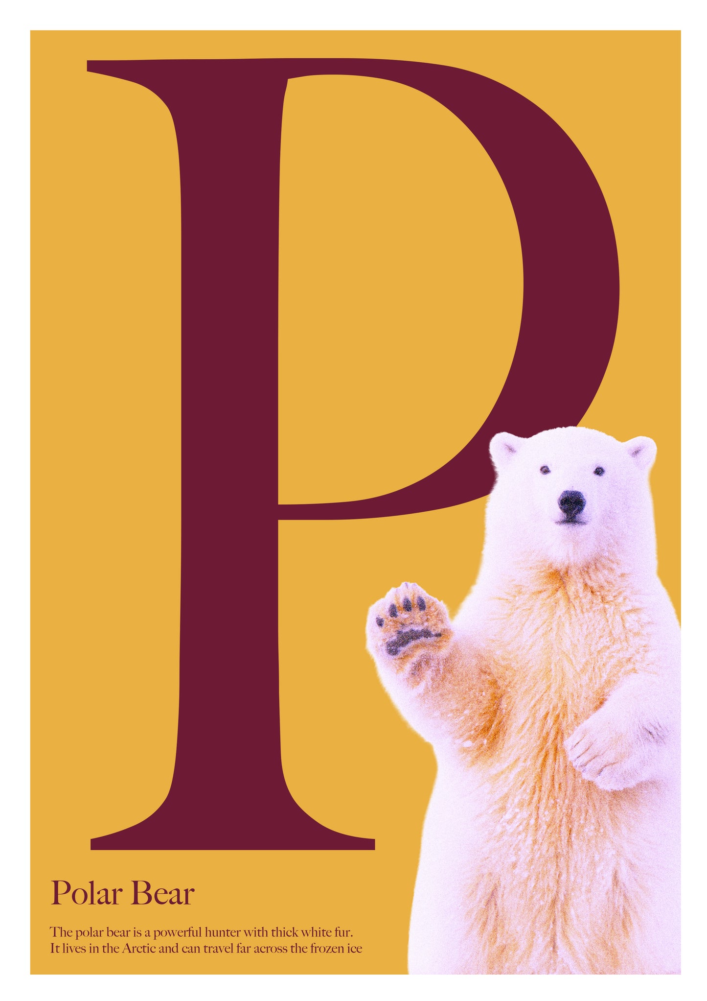 Alphabet Poster