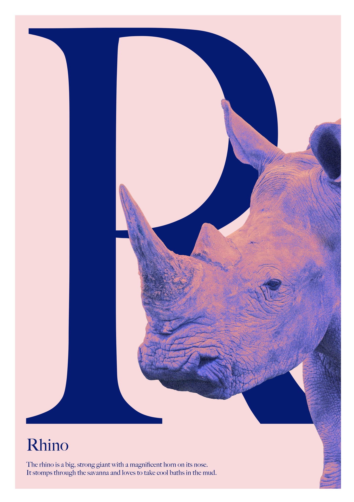 Alphabet Poster