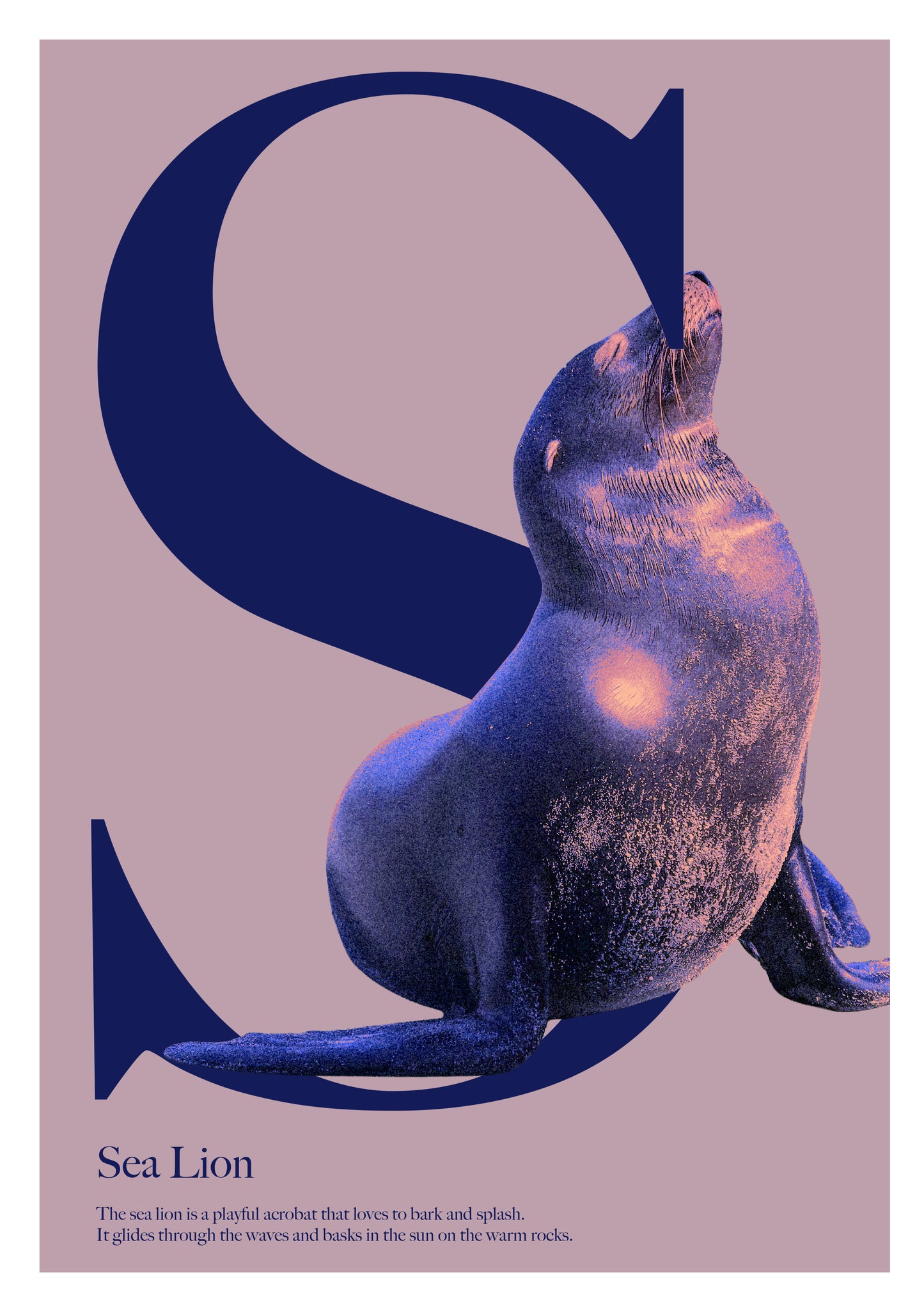 Alphabet Poster