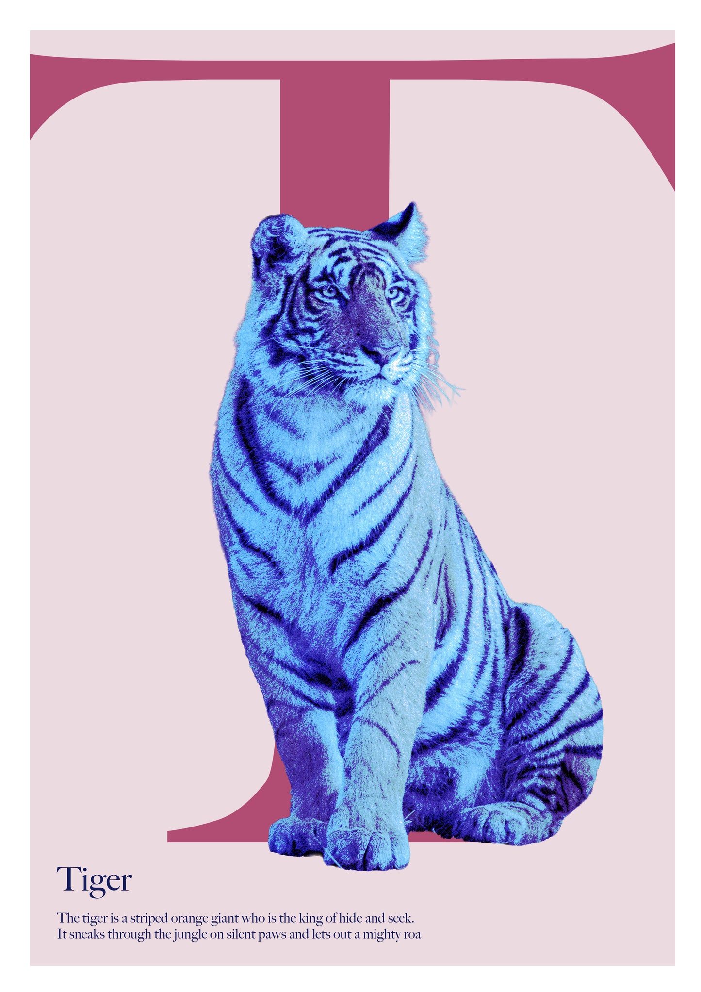Alphabet Poster